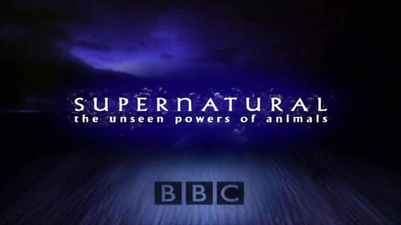Supernatural: Unseen Power of Animals