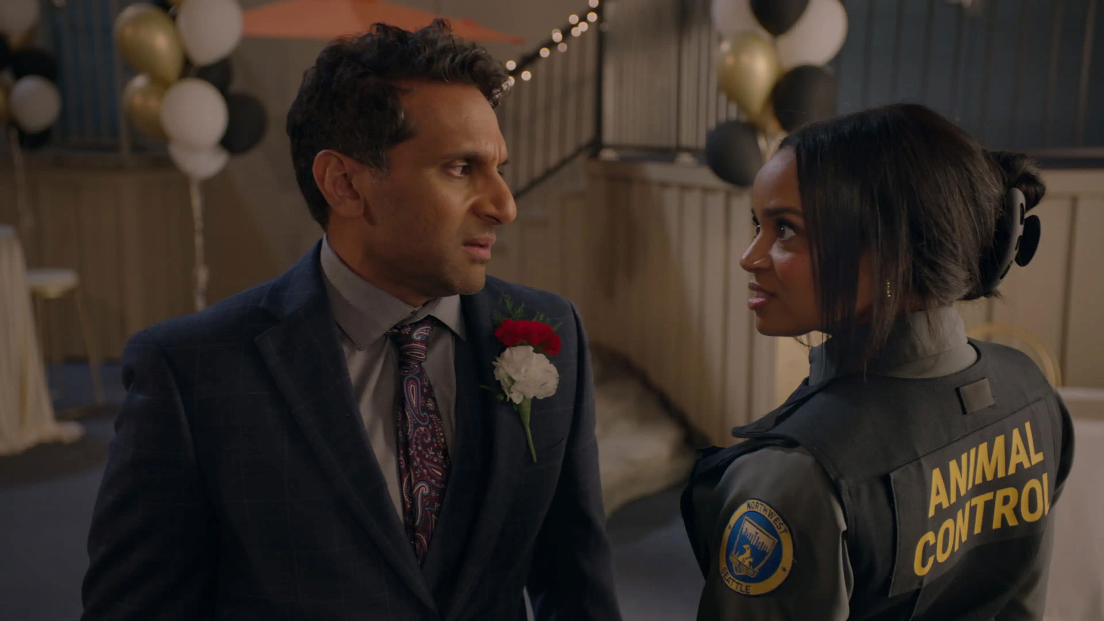 French Bulldogs and White Broncos