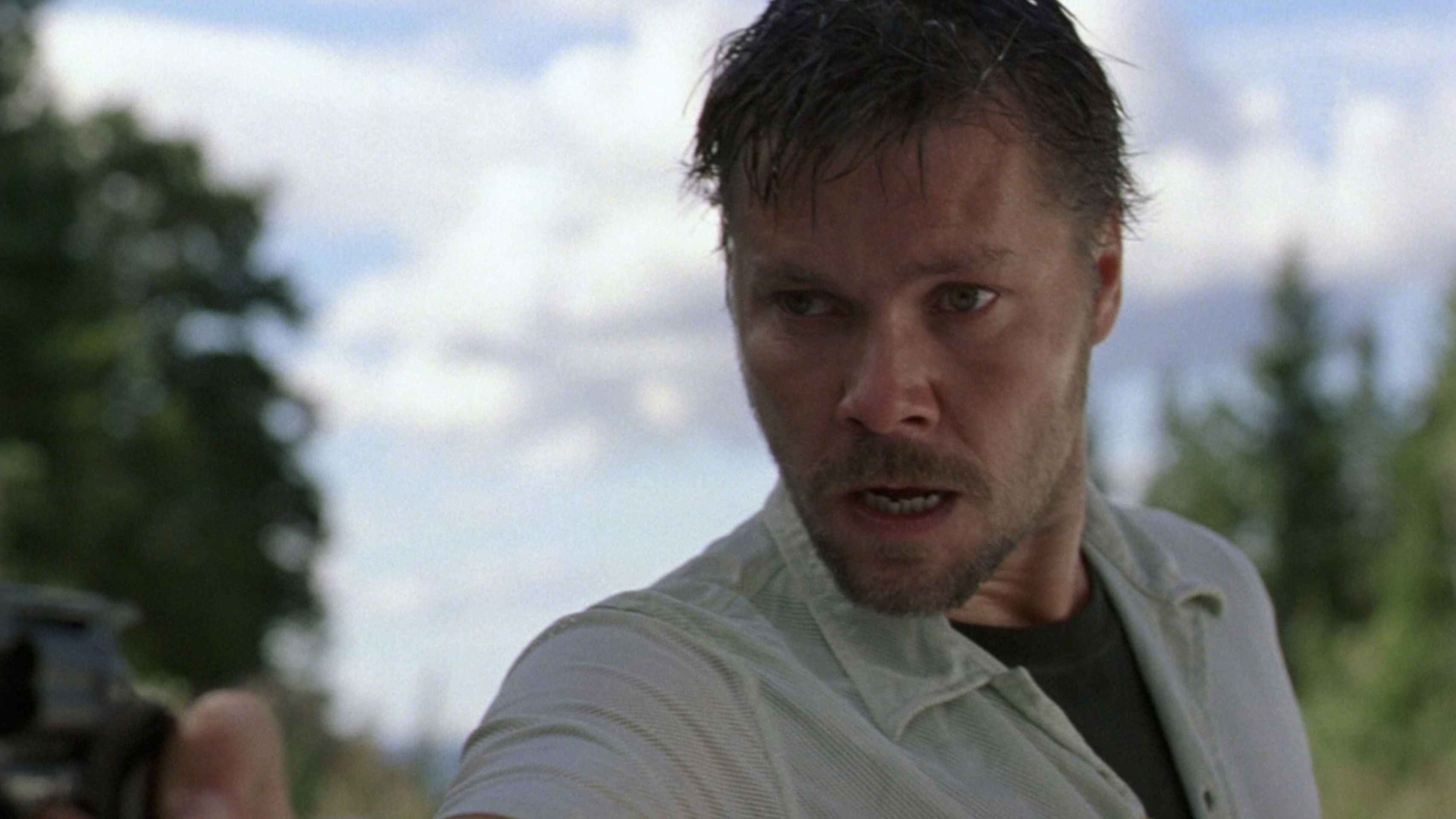 Kiáltás az erdőben