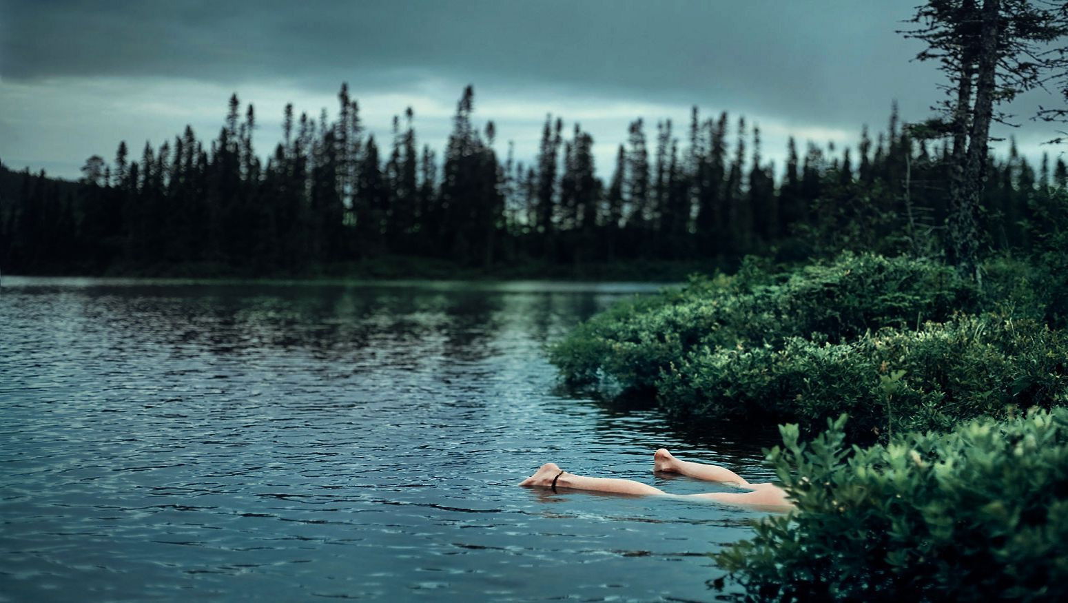 Arne Dahl - Collection