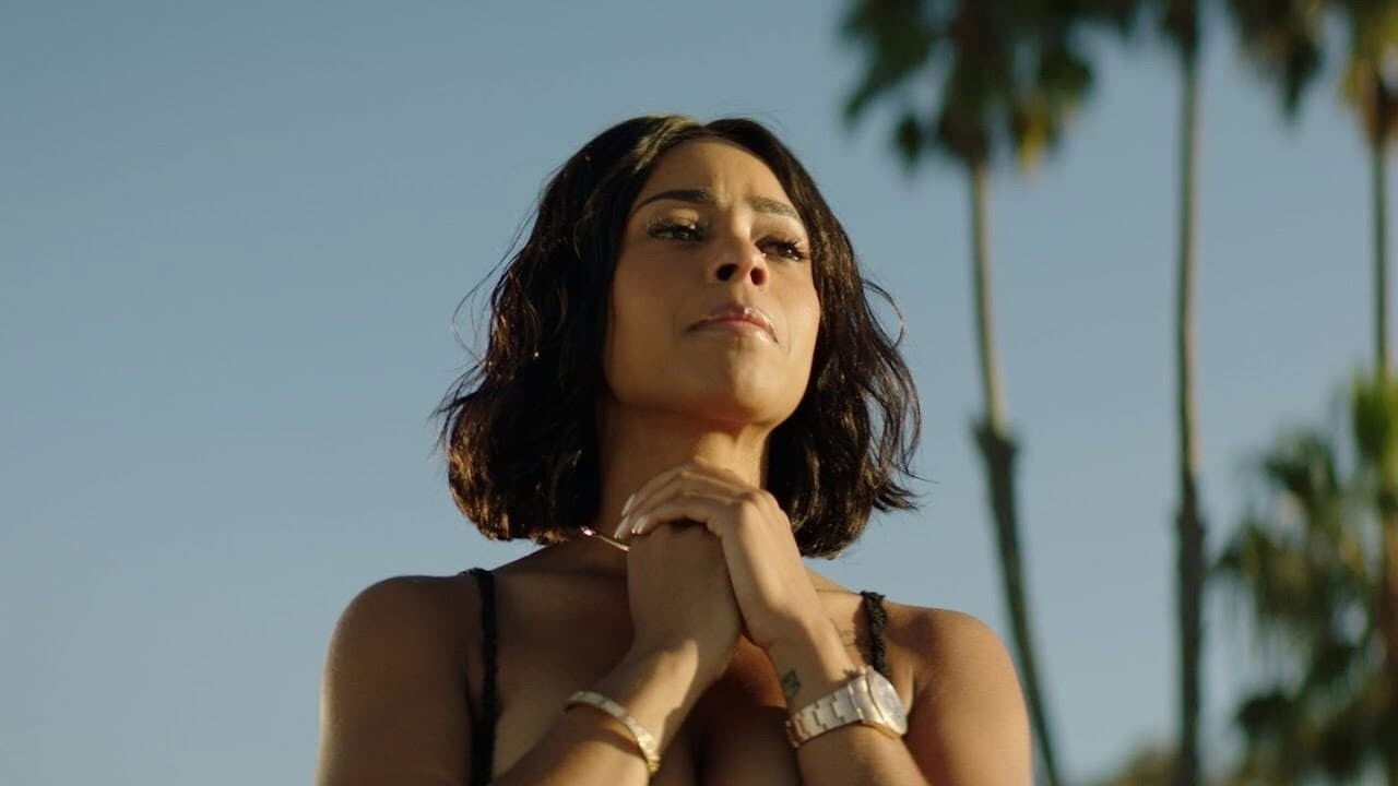 True to the Game Collection