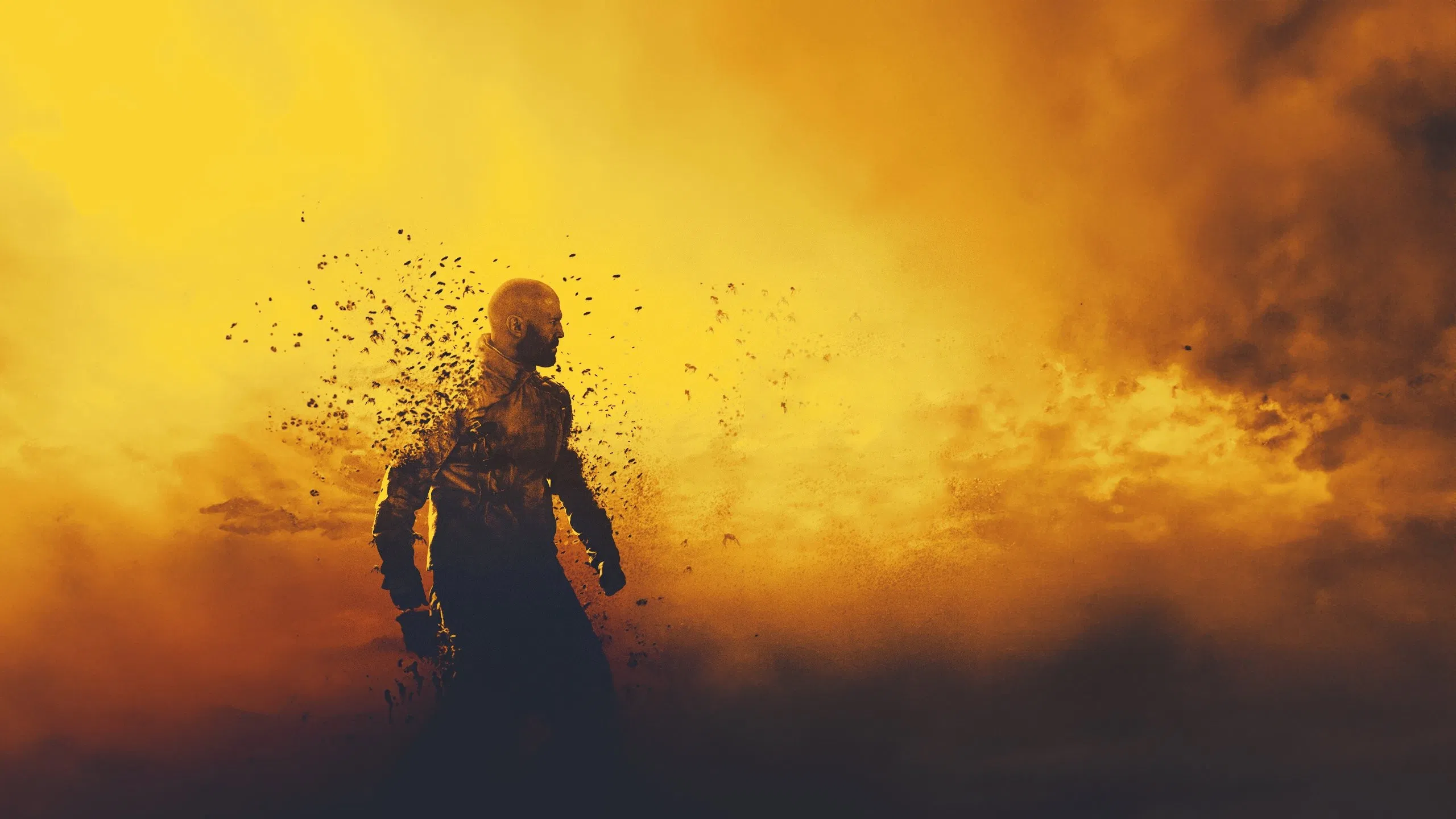 A méhész gyűjtemény