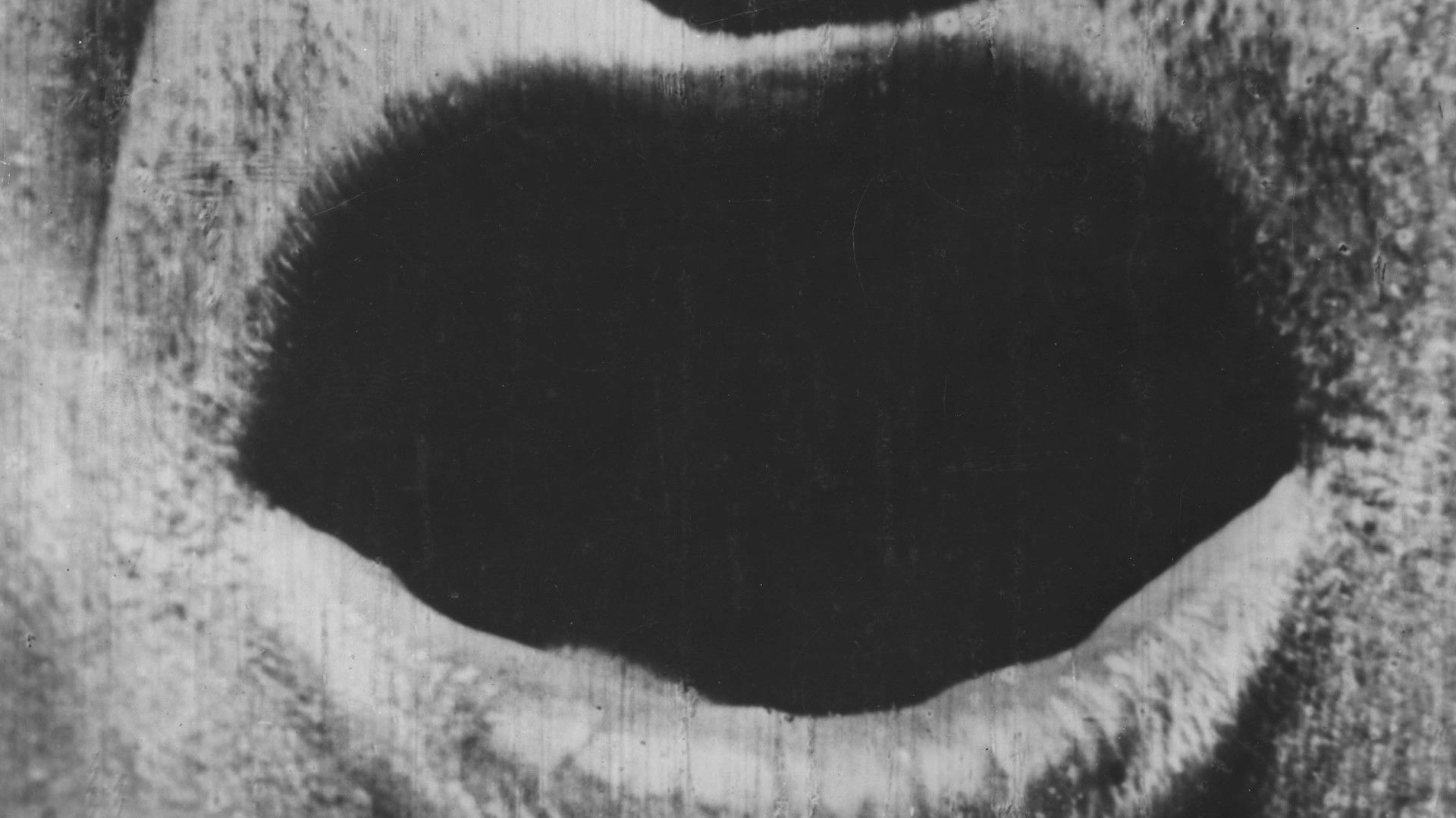 A Photographic Contortion