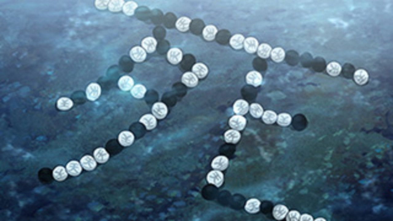 The Blood Pool Hall Murder, File 1