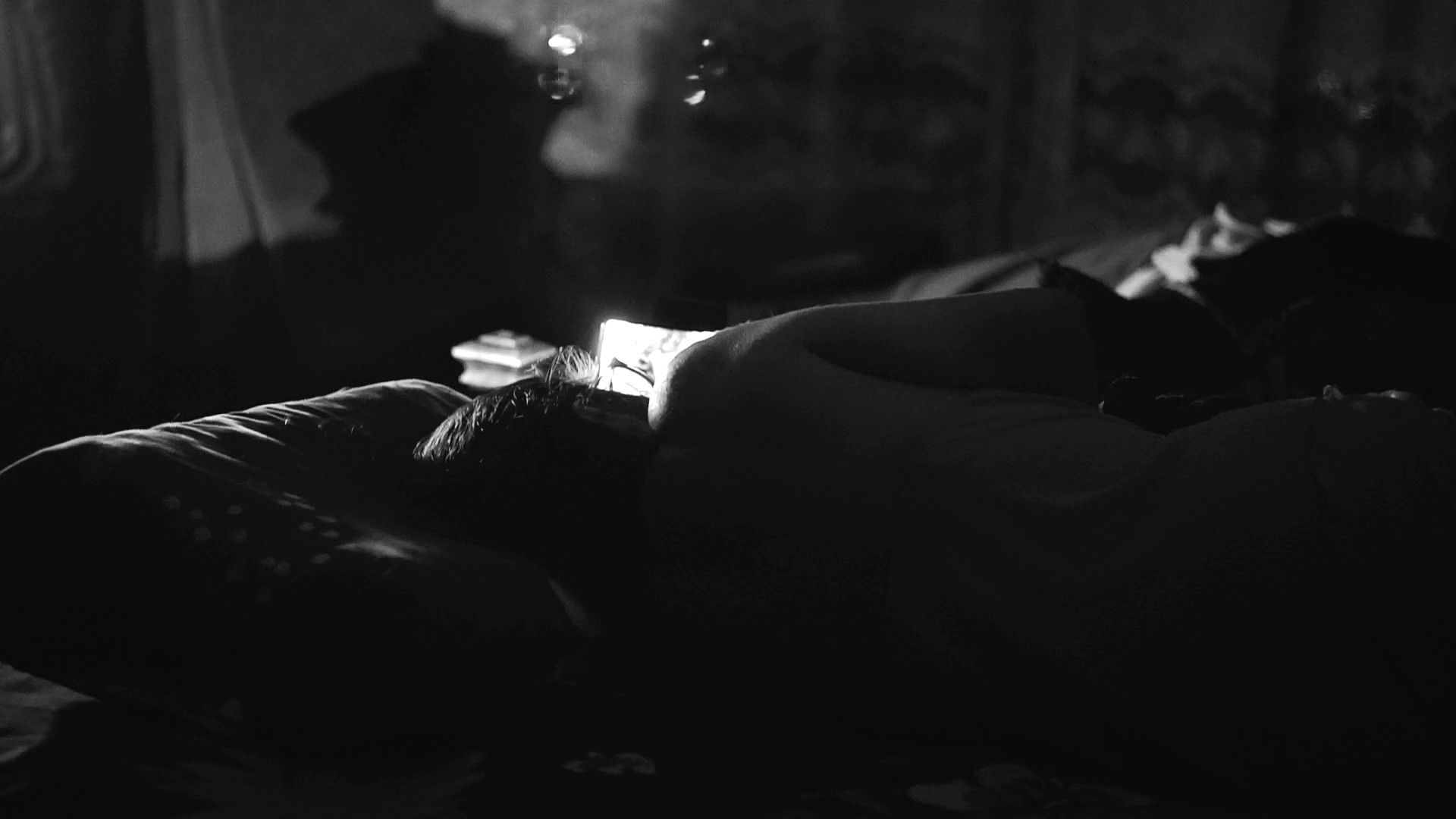 Pájaros de la noche