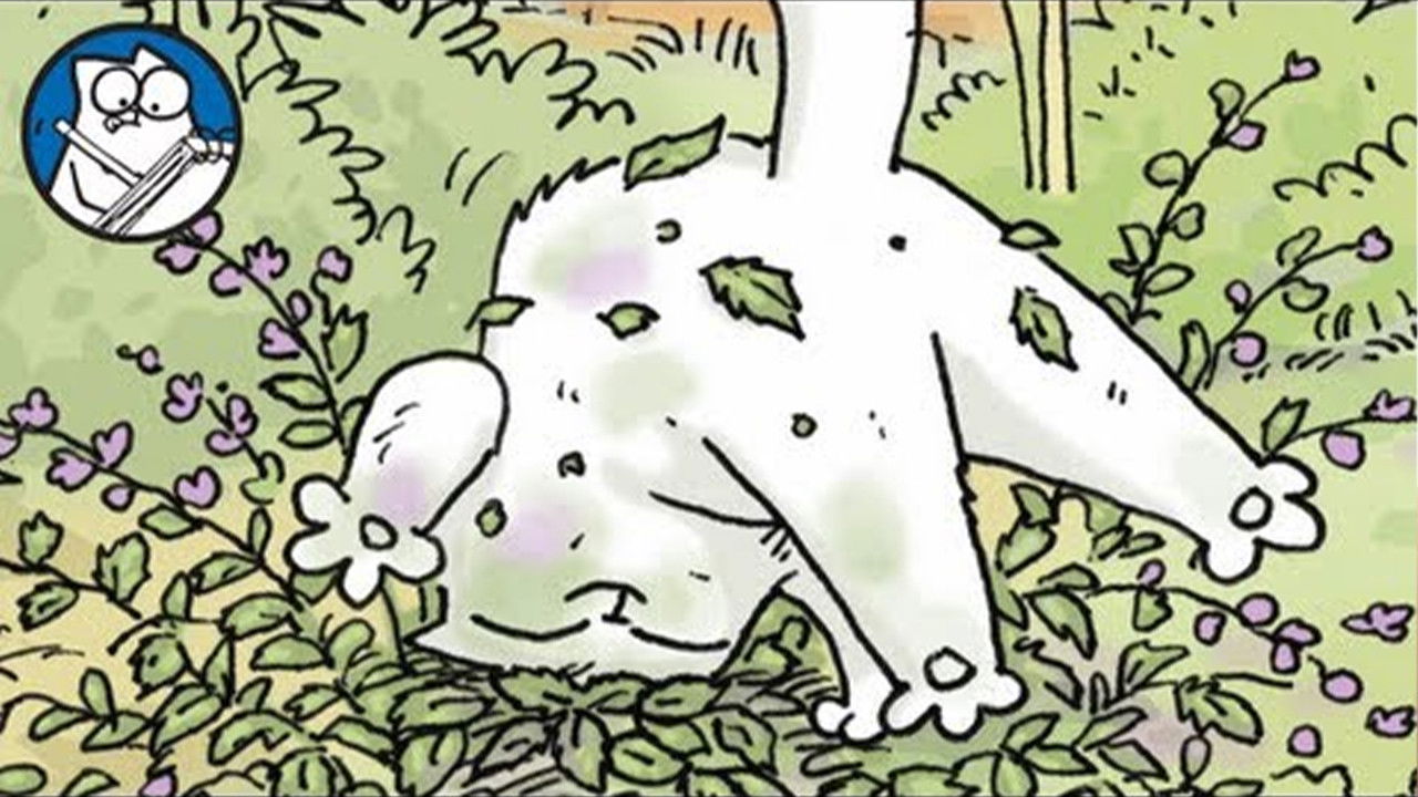 Simon Paints - Catnip