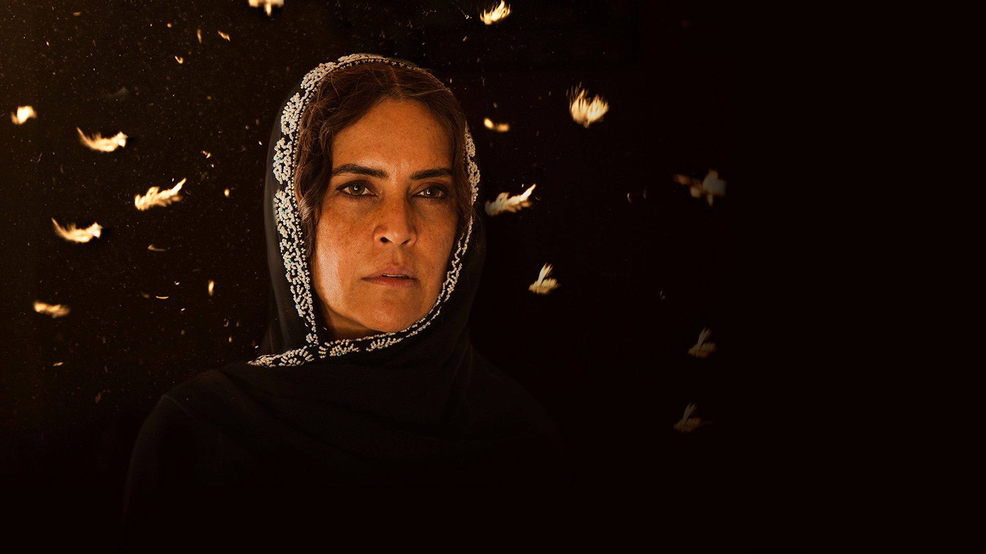 The Sun Of That Moon