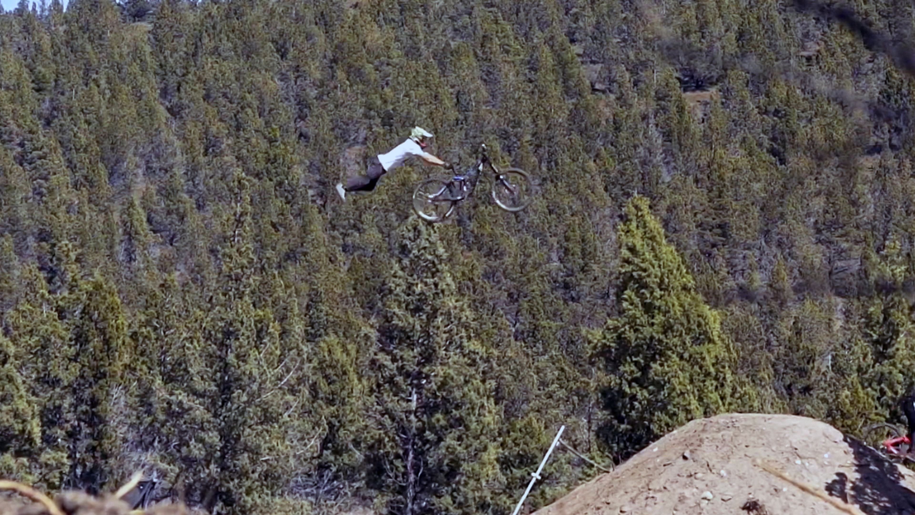 Action Figures Collection