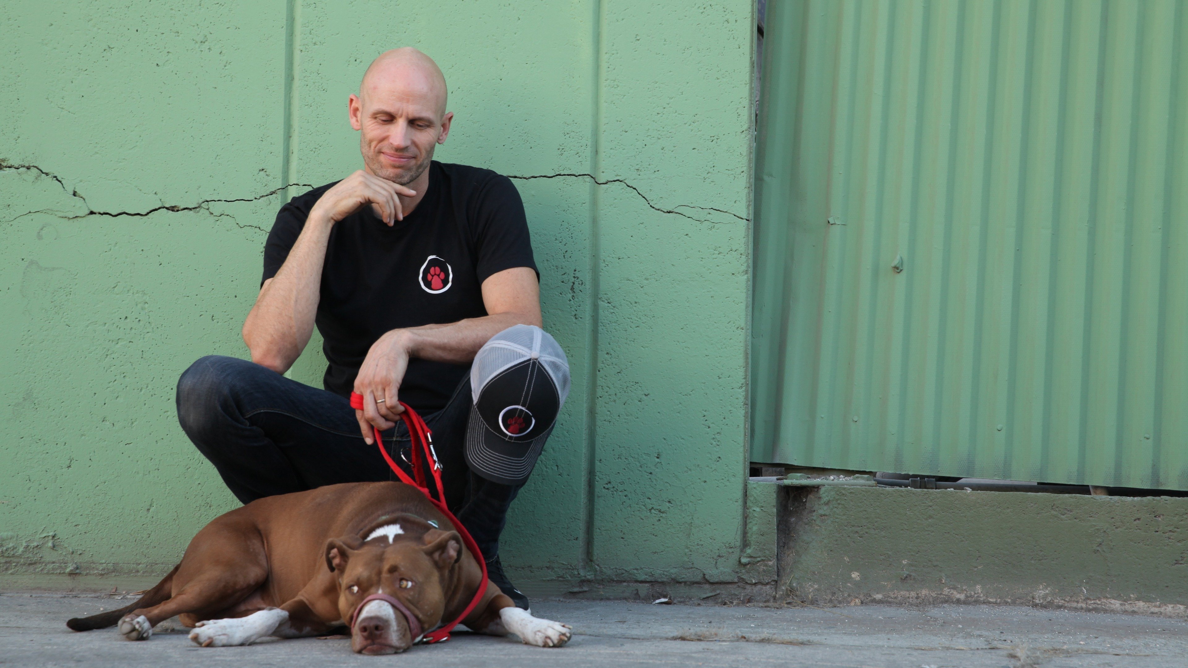 Így neveld a kutyád!