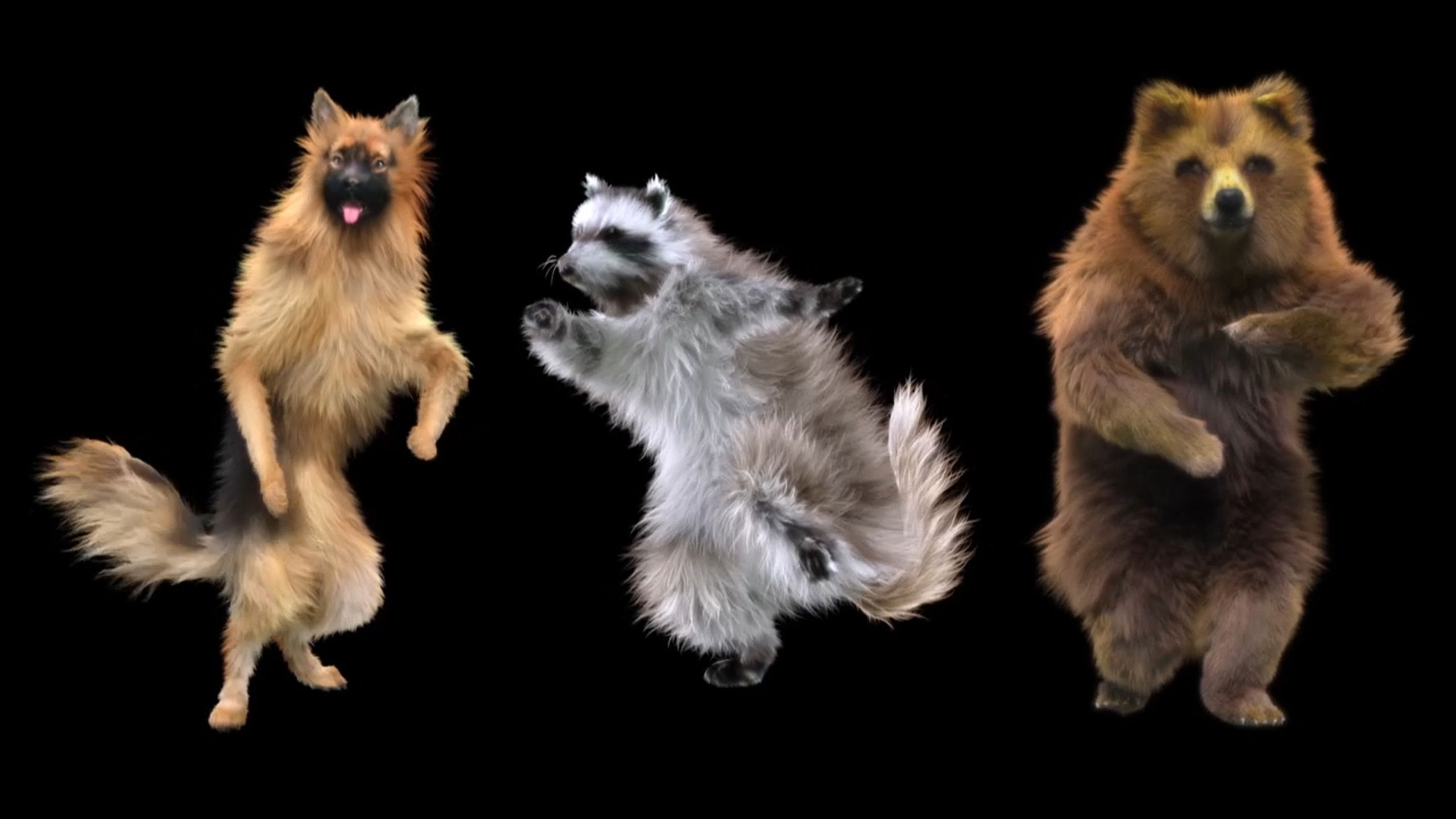 Des plaisirs pas si bêtes