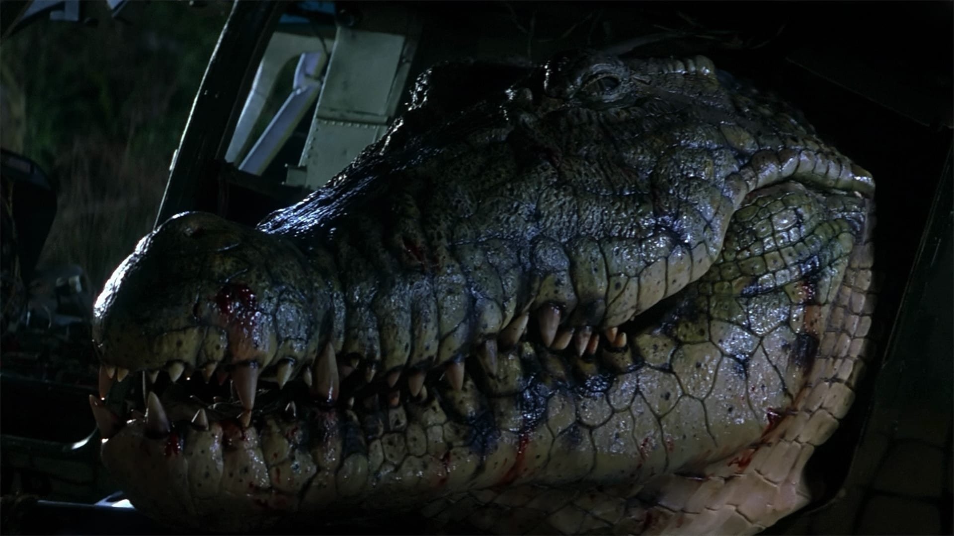 A szörny gyűjtemény