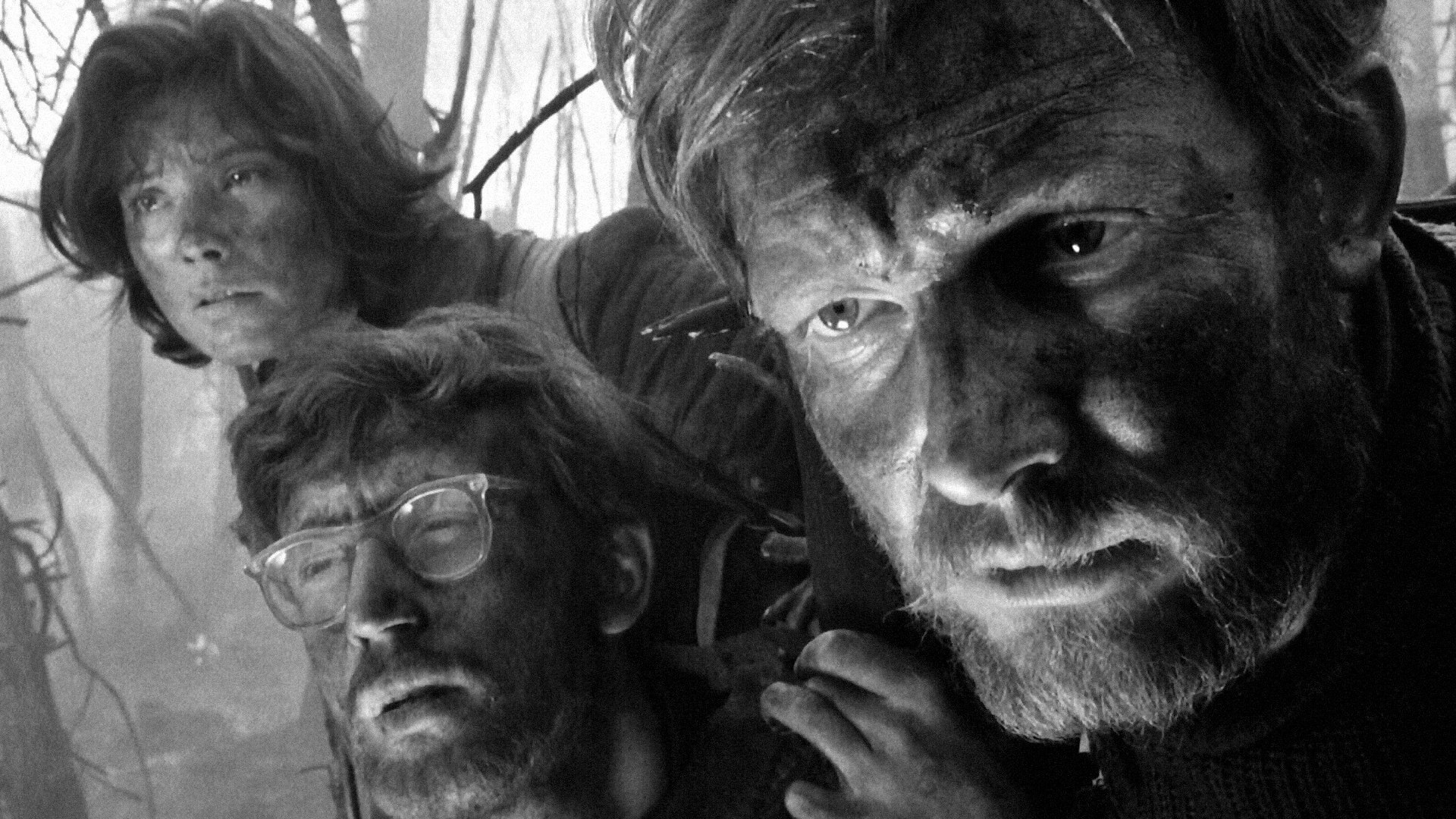 Az el nem küldött levél