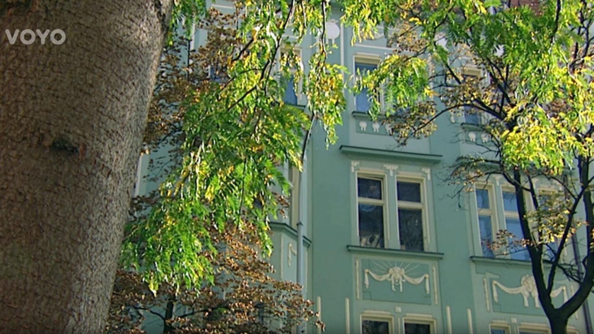 Snad to vyjde příště