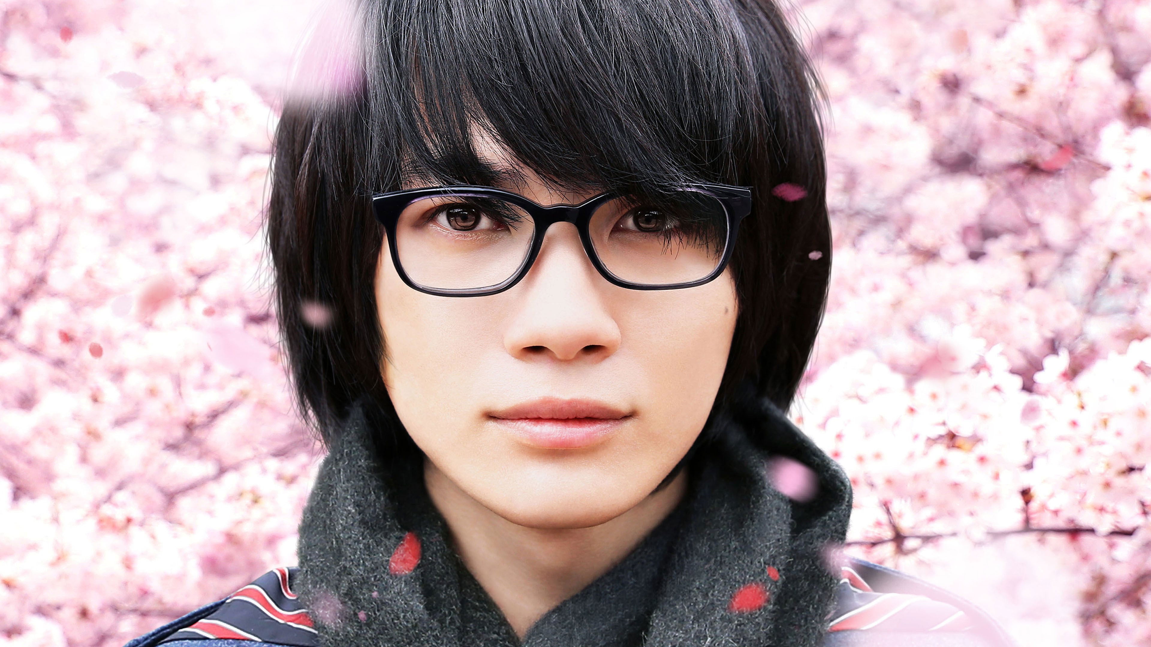 March Comes in Like a Lion Collection