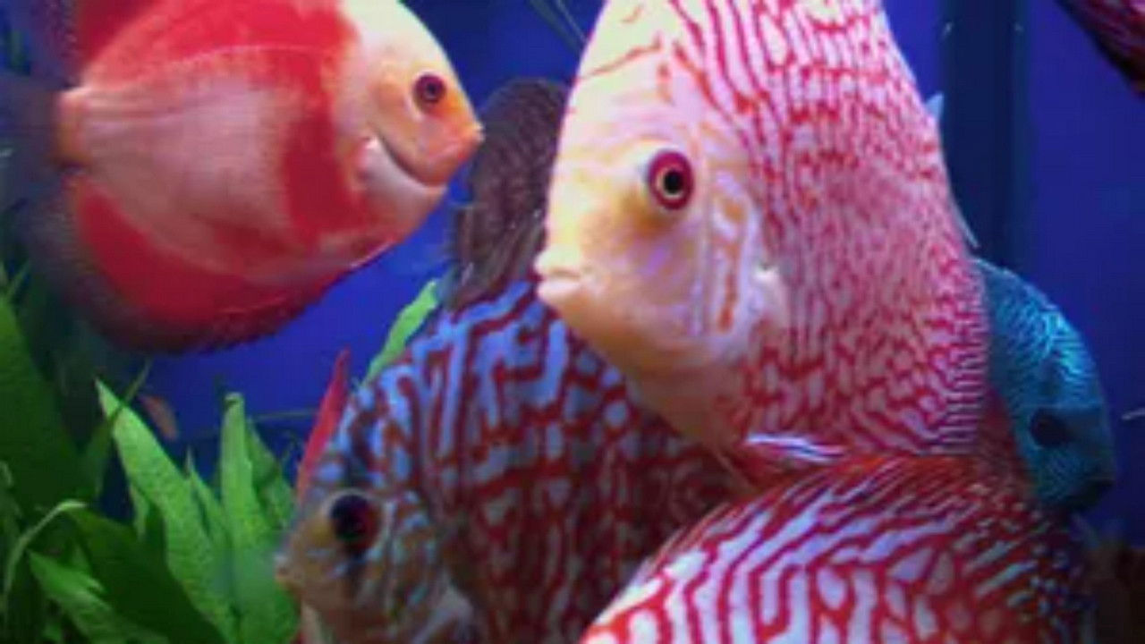 Just What the Doctor Ordered