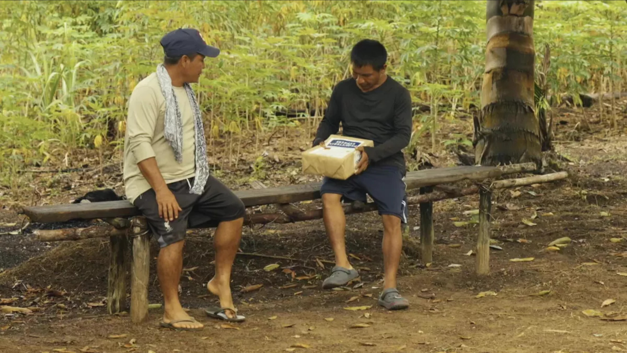 J'ai un colis pour vous !