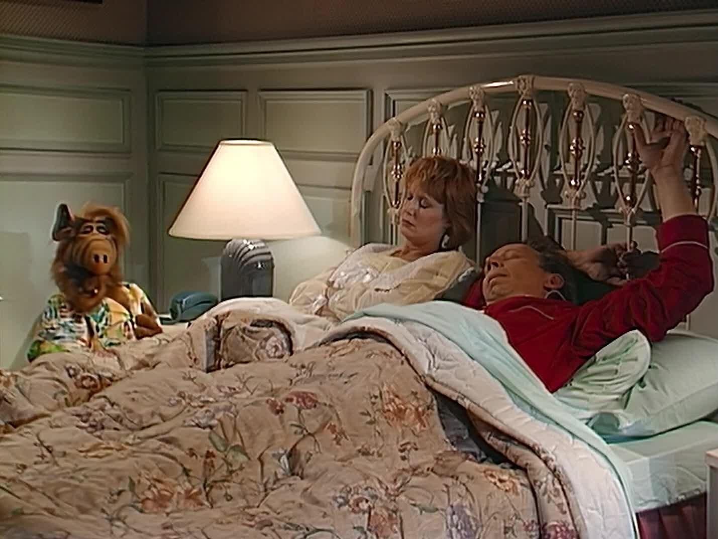 Megérett a szigetre