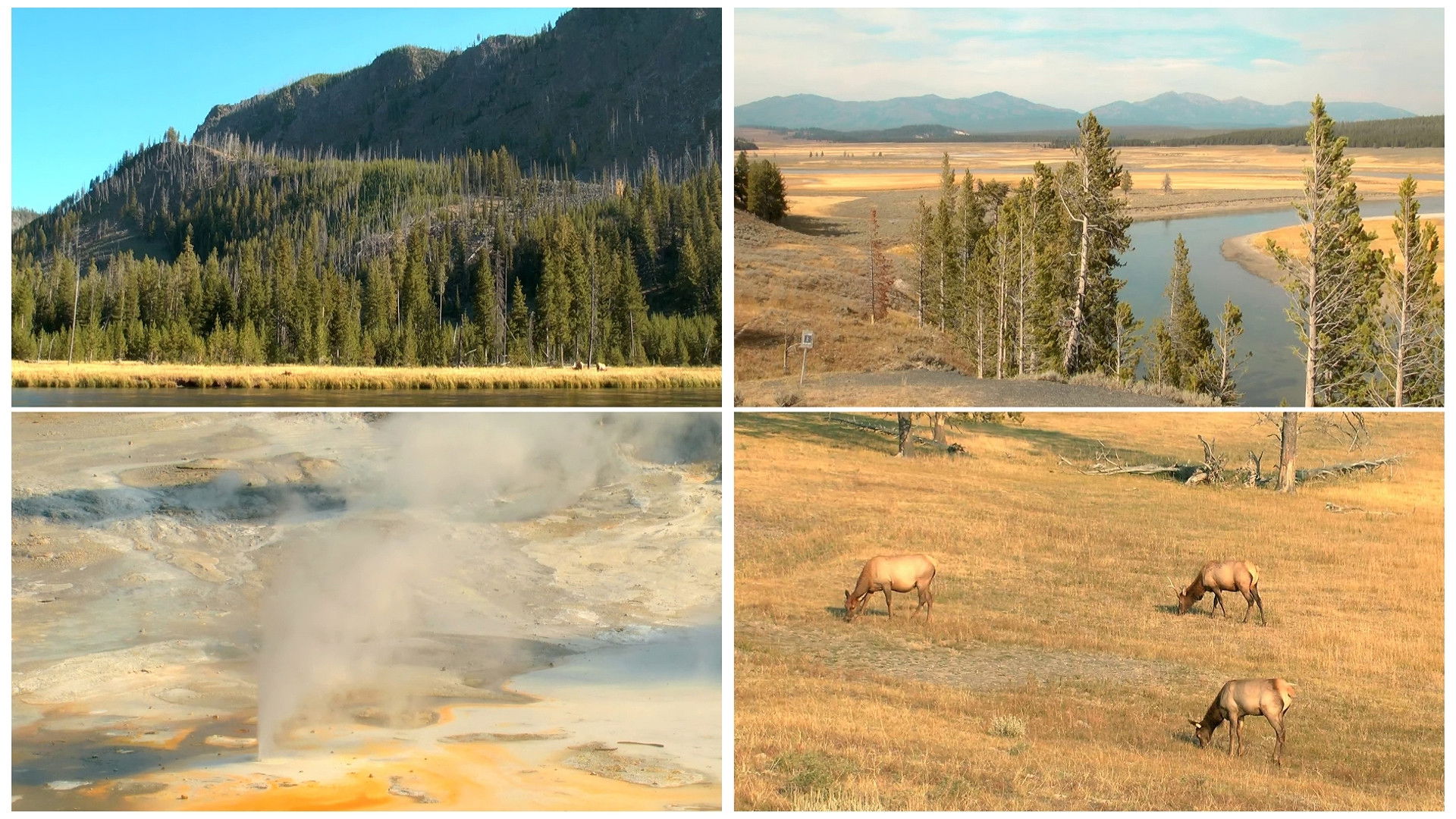 A világ természeti öröksége USA: Yellowstone (Sárgakő) Nemzeti Park