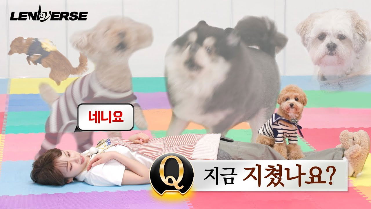 EP.60 Doggy Pet Sitter: Are you tired now? Yes, yes Part 2