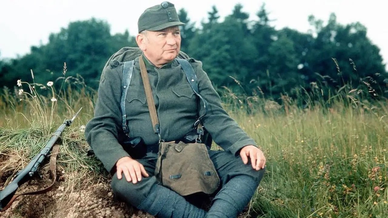 The Adventures of the Good Soldier Schwejk