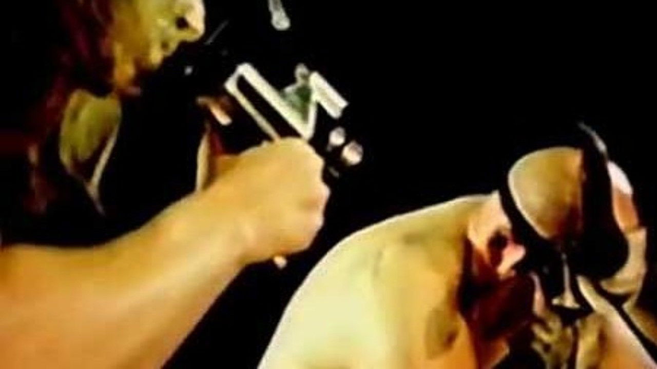 American Guinea Pig: Bouquet of Guts and Gore