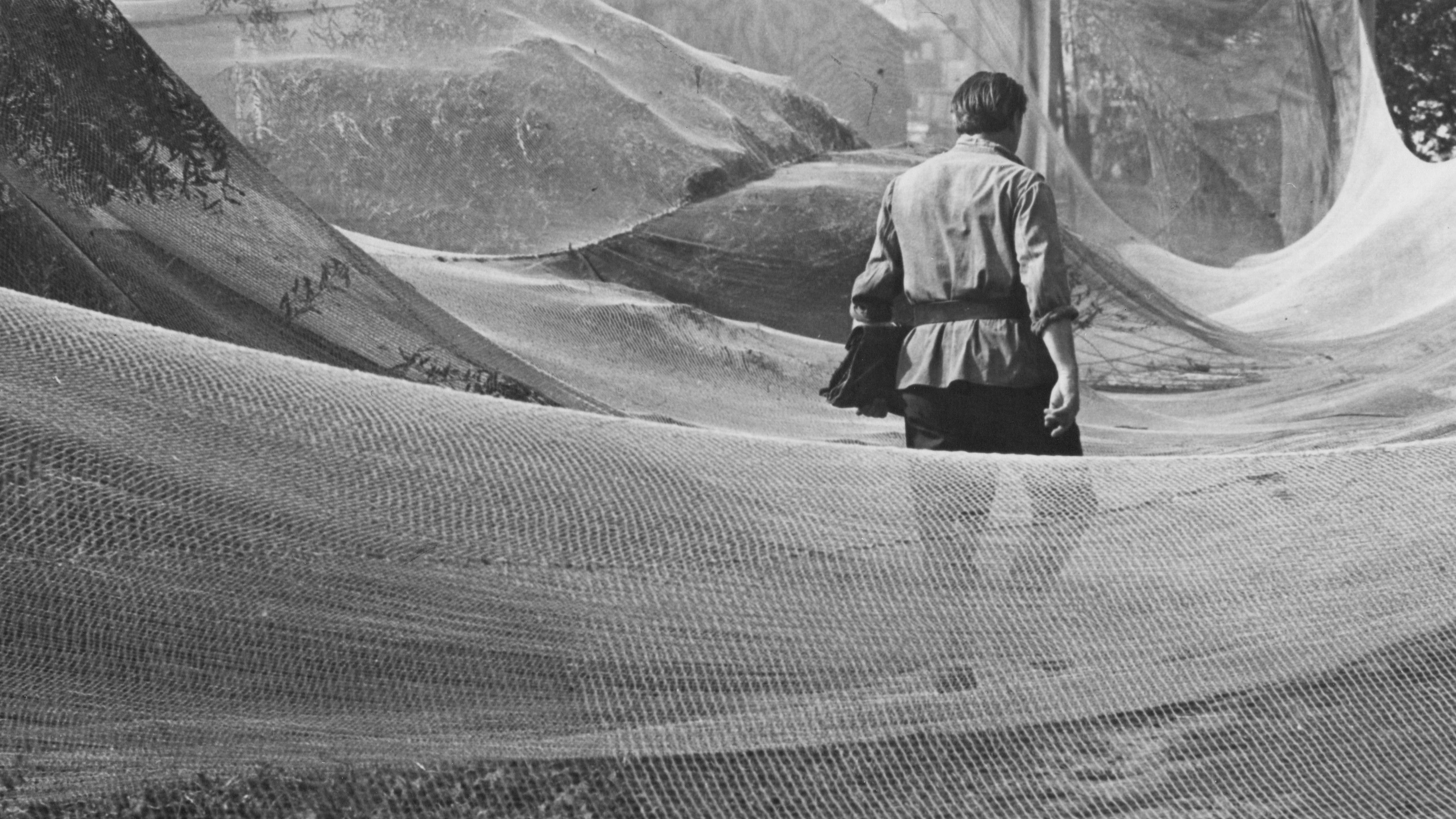 Antanas Mackevičius