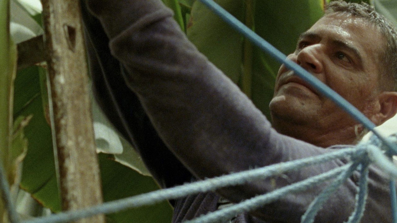 A Hundred-Headed Dragon