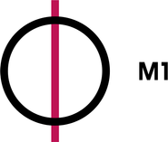 M1