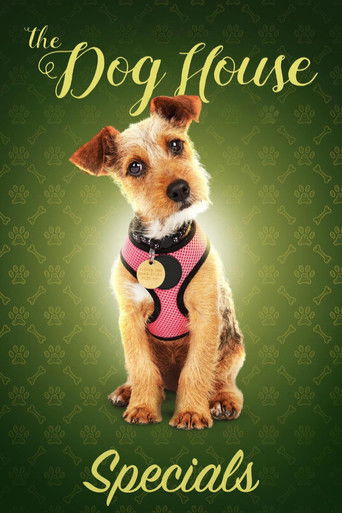 Speciális epizódok