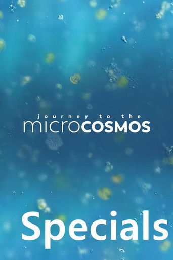 Speciális epizódok