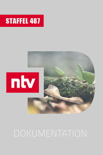 487. évad