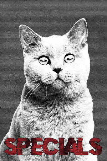 Speciális epizódok