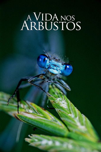 Speciális epizódok