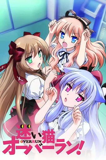 Speciális epizódok