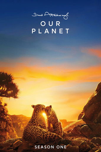 Our Planet – Bolygónk csodái