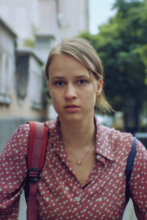 A Hunt For Hedgehogs