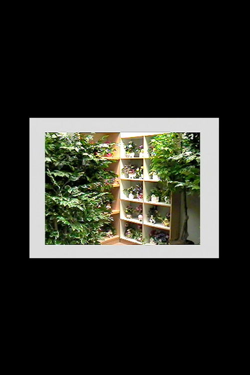 Oral History (Found Tape)