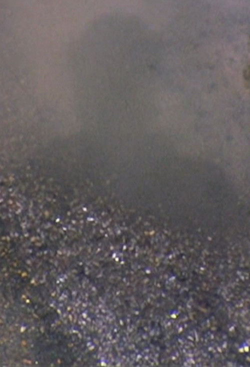 Reflections on My Shadow