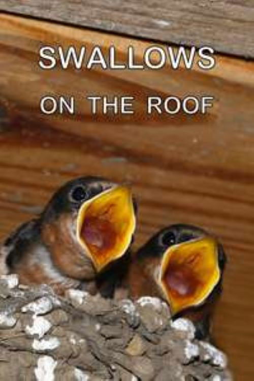 Swallows on the Roof