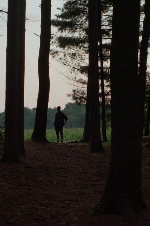 Light on a Path, Follow