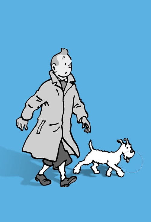 Les Aventures de Tintin, d'après Hergé