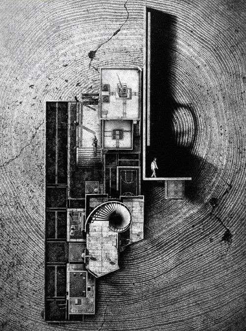 Black & White Forest