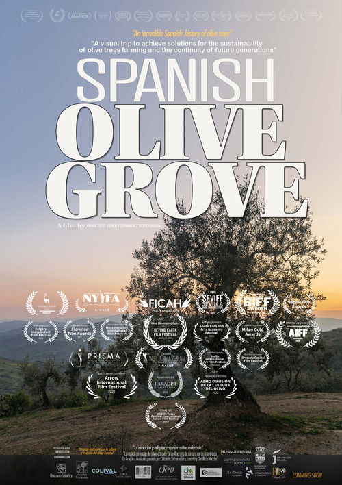 El paisaje del olivar