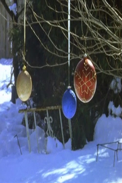 You Can See the Sun in Late December