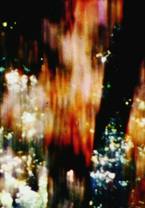 Trees of Syntax, Leaves of Axis