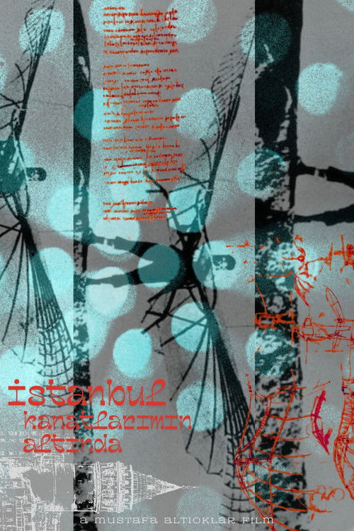 Istanbul Beneath My Wings