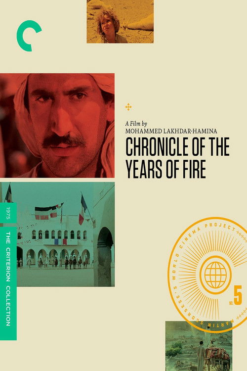 Chronicle of the Years of Fire