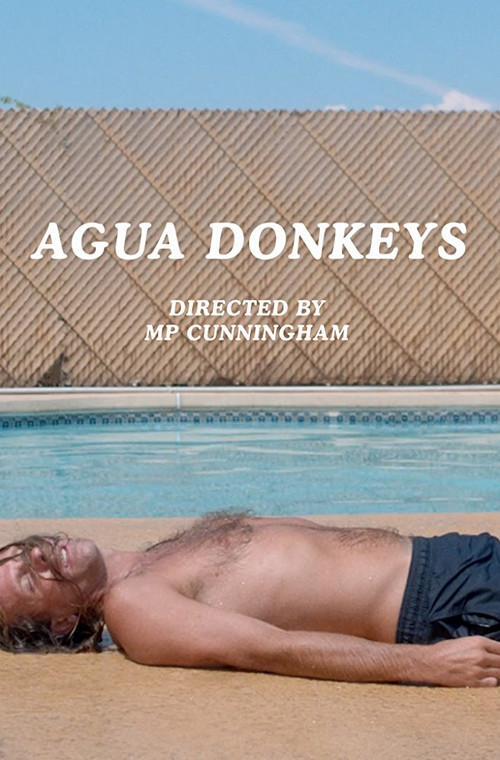 Agua Donkeys
