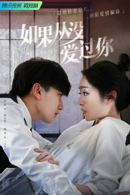 If I Never Loved You