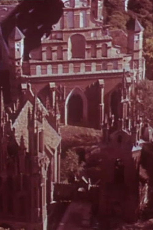 Amžių prisilietimas